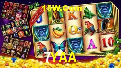 7YAA Brasília - Leaderboards